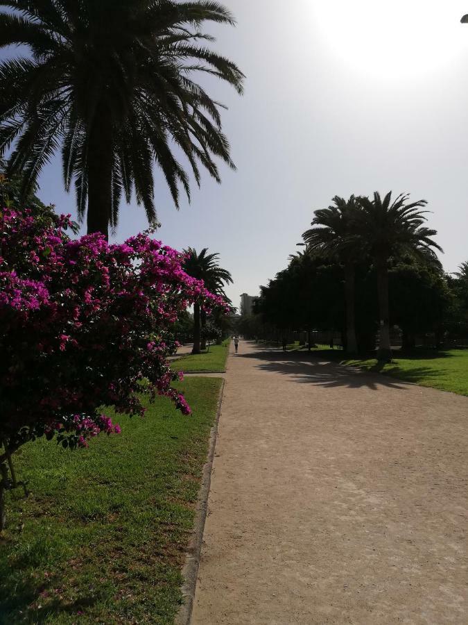 Apartamento La Marina-Ciudad Jardin Las Palmas de Gran Canaria Exteriör bild